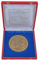 1978. "Magyaróvári Timföld- és Műkorundgyár - Munkavédelmi Vetélkedő" fém emlékplakett ere...