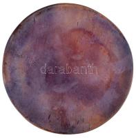 1993. "100 éves a Budapesti Elektromos Művek Rt. 1893" Br emlékplakett dísztokban, benne m...