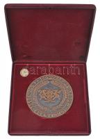 1993. "100 éves a Budapesti Elektromos Művek Rt. 1893" Br emlékplakett dísztokban, benne m...