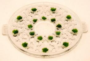 Zöld-fehér lapos üvegtál(tortához), hibátlan, d: 29 cm