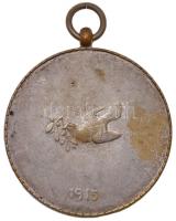 Osztrák-Magyar Monarchia 1915. "Erzsébet Királyné béke medál" ezüstözött fém patrióta érem...