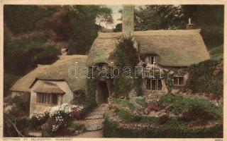 Selworthy, Cottages
