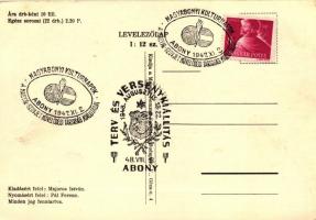 A Magyar Sors - bajtársi levelezés I. sz. (hadtörténeti) sorozata. Szerk. Kuthy Ferenc. 22 darabos k...