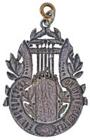 ~1920. "Országos Magyar Daláregyesület 30 évi működéséért" zománcozott fém jelvény (42x30m...