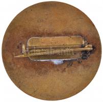 1966. "Ráckevei Horgász Egyesület 25 éves" aranyozott zománcozott fém jelvény (36mm) T:2