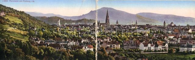 Freiburg im Breisgau panoramacard (fa)