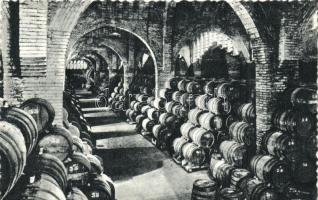 Sant Sadurní d'Anoia, Casa Codorniu / Winery interior, cellar, barrels