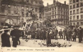 Lyon, Place des Terreaux / square, pigeons (EK)