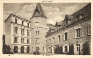 Montargis, Chateau / castle