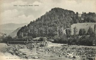 Le Mont-Dore, Paysage / bridge