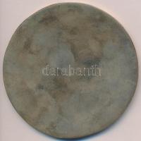 DN "Magyar Néphadsereg - 1514-1848-1919" Br emlékplakett (83mm) T:2-