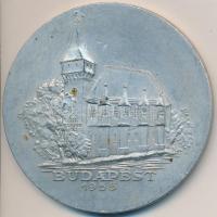 1955. "Ausztria-Magyarország Labdarúgó Mérkőzés" Al emlékérem (61,5mm) T:2-