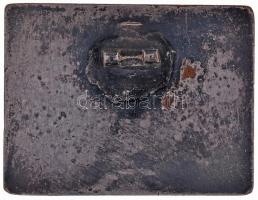 Bethlen Gyula (1879-1963) DN "Magyar Királyi Ludovika Akadémia" ezüstözött Br plakett, hát...