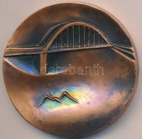 Kiss Nagy András (1930-1997) DN "Szeged" Br érem (60mm) T:2