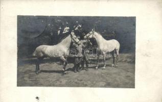 A 'két árva' azaz a néhai Till százados lovai; 305. honvéd gyalogezred bélyegző / Hungarian soldiers with horses, WWI military, photo