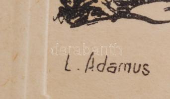 Adamus jelzéssel: Johann Straußhaus, rézkarc, papír, jelzett, üvegezett fa keretben, 8×6 cm