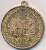 1879. "Emlék Érem Székesfehérvári 1879 évi orsz. kiállítás / Gróf Zichy Jenő a kiállítás elnöke...