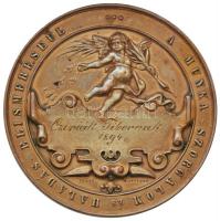 1894. " A Budapesti Kárpitos Gombkötő és Paszományos Ipartestület / A munka szorgalom és haladá...