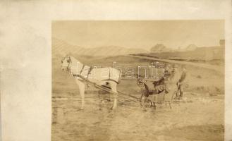 1918 Campulung Moldovenesc, Moldvahosszúmező, Kimpulung; Osztrák-magyar katonai szán / WWI K.u.K. soldiers on a sleigh, photo