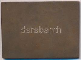 DN "Postás Sportegyesület" Br sí plakett (54,5x40mm) T:2-