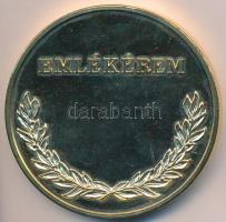 DN "Hajdú Bihar Megye Önkormányzata / Emlékérem" aranyozott Br emlékérem tokban (65mm) T:2...