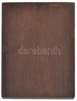 1970. "75 éves a Magyar Állami Hajózás 1895-1970" Br lemezplakett (80x49mm) fa talapzaton ...