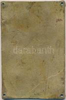 1934. "A Vizisport Elismerése 1934. IX. 9." zománcozott fém plakett, "BOCZÁN GY. BUDA...