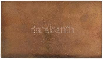 Csúcs Viktória (1934-1993) DN "Országos Hadtörténelmi Múzeum Budapest" Br emlékplakett (79...