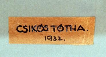 Csikós Tóth András (1902-1963): Szent György legyőzi a sárkányt, üvegablak-terv, vegyes technika, pa...