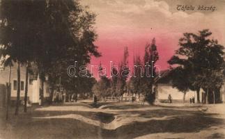 10 db RÉGI történelmi magyar városképes és motívum lap; humor, irredenta / 10 old historical Hungari...