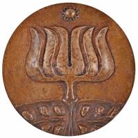 Blaskó János (1945-) 1985. "A Magyar Állami Népi Együttes - KISZ és Szakszervezeti Tagsága - Emlékül 1985" Br emlékérem (108mm) T:2