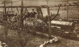 Budapest XIV. Angol Park, Kisvasút