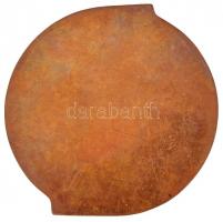 DN "A XIII. Pártkongresszus tiszteletére" Br plakett. Szign.:BB (101-91mm) T:2-