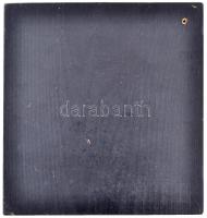 Kubászova Tamara (1939-) DN "Dr. Polgár Kálmán emlékére - Kaposvár" Br plakett fa talpon (...