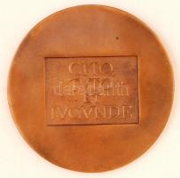 Csíkszentmihályi Róbert (1940-): Verebély Tibor. Bronz plakett, jelzett, d:9,5 cm