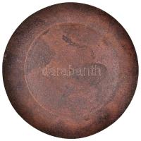 1970. "ZIM-Lampart Forrószeles Olvasztási Ankét Kecskemét 1970" Br plakett (93mm) T:2-