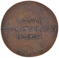 1969. "1919-1969 / A Magyar Tanácsköztársaság Emlékére" Br emlékérem (79mm) T:2,2-