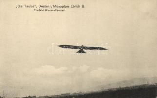 Die Taube, Oesterr. Monoplan Etrich II; Flugfeld Wiener Neustadt / Austrian mono plane Etrich II (EK)