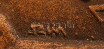 Szabó Imre (1947-): Körösi Csoma Sándor Általános Iskola. Bronz plakett, jelzett, 13,5×10 cm