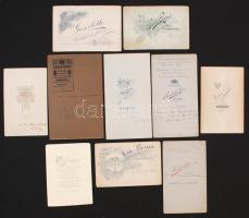 cca 1900, 10db Nagy méretű, kemény hátú családi fotó különböző fényképeszektől: Cerny, Goszleth, Ber...