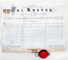 1902 Jogi doktori egyetemi diploma a budapesti egyetemről, pergamen, fa tokos függőpecséttel, Kétly Károly (1839-1927) rektor, orvos-belgyógyász és Szászy-Schwarz Gusztáv (1958-1920) dékán, jogász aláírásával, 2 és 1 kr. okmánybélyeggel, szép állapotban