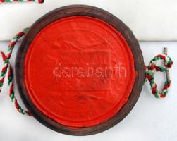 1902 Jogi doktori egyetemi diploma a budapesti egyetemről, pergamen, fa tokos függőpecséttel, Kétly ...