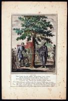 1712 Jan Luyken - Christoph Weigel: Színezett rézmetszetű kép a Historiae celebriores Veteris Testamenti... c. könyvből. Megjelent: Nürnberg, 1712. Nagyméretű metszet. / Jan Luyken - Christoph Weigel. Large colored etching from the book Historiae celebriores Veteris Testamenti 26x48 cm