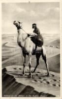 Nomad on his Mehari in the Nubian Desert (pinhole), Nomád a núbiai sivatagban, teve (lyuk)