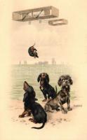 Dogs, aeroplane; M. Munk Vienne Nr. 460 s: R. Ulreich