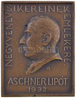 Gárdos Aladár (1878-1944) 1932. "Aschner Lipót - Negyven év sikereinek emlékére" Br plakett, hátlapján "LUDVIG BUDAPEST" gyártói jelzéssel (59x46mm) T:2 Hungary 1932. "Lipót Aschner - For success of 40 years" Br plaque, with "LUDVIG BUDAPEST" makers mark. Sign.: Aladár Gárdos (59x46mm) C:XF HP: 2487.