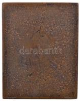 Gárdos Aladár (1878-1944) 1932. "Aschner Lipót - Negyven év sikereinek emlékére" Br plaket...