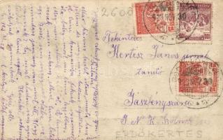 Erdőkertes, Erdőváros; Roheim-féle gőztéglagyár, photo