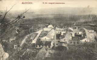 Algyógy, Vasgyári szanatórium / iron works sanatorium