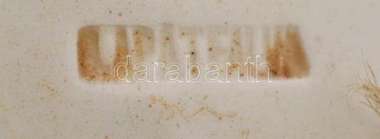 Bélapátfalvi búzakalász-mintás falitányér, kézzel festett, jelzett, kopásnyomokkal, d: 23 cm